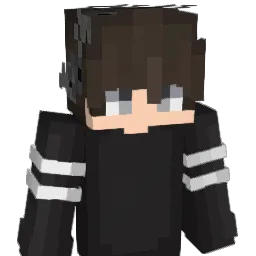iEatRice_PvP Minecraft avatar bust