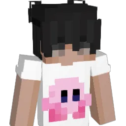 iLaxeer_