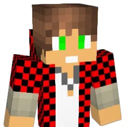 iLeo017 Minecraft avatar bust