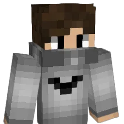 iLiqhts Minecraft avatar bust
