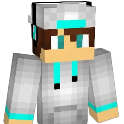iNeeyzR Minecraft avatar bust