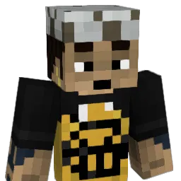 iPriNzxP4IN Minecraft avatar bust