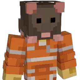 iRatman_ Minecraft avatar bust