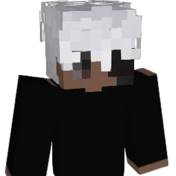 iSurve Minecraft avatar bust