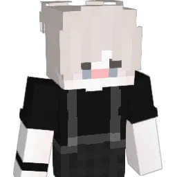 iSwonex Minecraft avatar bust