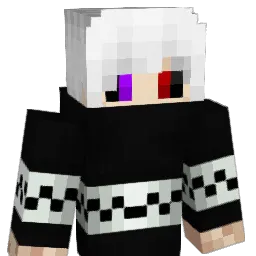 iTzDimkAaa_ Minecraft avatar bust