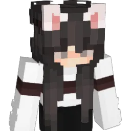 iTz_Ashraf_TX Minecraft avatar bust
