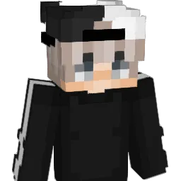 i_9 Minecraft avatar bust