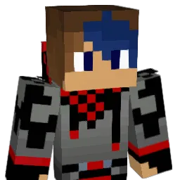 i_swim247 Minecraft avatar bust