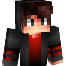 iai1385 Minecraft avatar bust