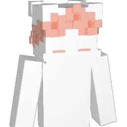 iamaudge Minecraft avatar bust