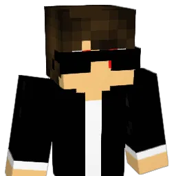 iamn7ed991 Minecraft avatar bust