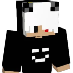 iamthetop1 Minecraft avatar bust