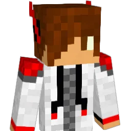 icered69 Minecraft avatar bust