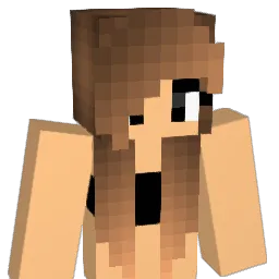 icevalley Minecraft avatar bust