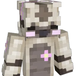 ida2008 Minecraft avatar bust