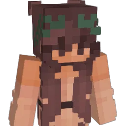 idafriis2007 Minecraft avatar bust