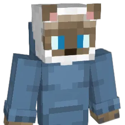 idanot21 Minecraft avatar bust
