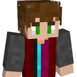 idcmansry Minecraft avatar bust