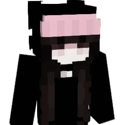 idhms