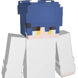 idiggo_ Minecraft avatar bust