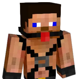 idigthepig Minecraft avatar bust