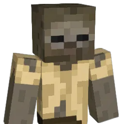 idiotm Minecraft avatar bust