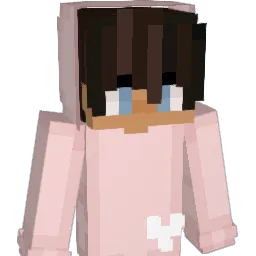 idiut's Minecraft skin
