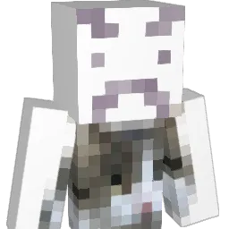 idkiforgot Minecraft avatar bust