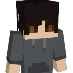 idkwhyask Minecraft avatar bust