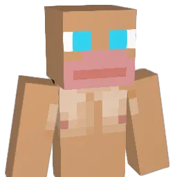 ido6646 Minecraft avatar bust