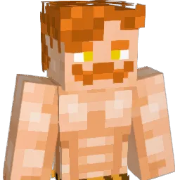idonisus's Minecraft skin