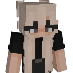 iga25 Minecraft avatar bust
