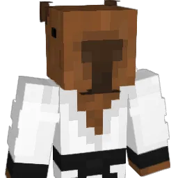 igna_702 Minecraft avatar bust