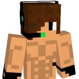 iguinho2899 Minecraft avatar bust