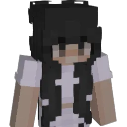 ihysfm Minecraft avatar bust