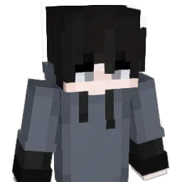 ii227 Minecraft avatar bust