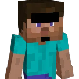 ii24 Minecraft avatar bust
