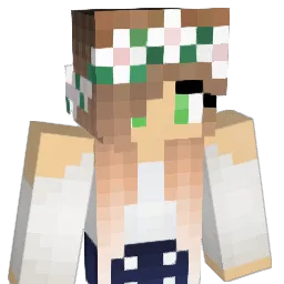 iiBLMii Minecraft avatar bust