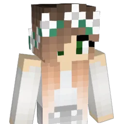 iiDrTurtlez Minecraft avatar bust