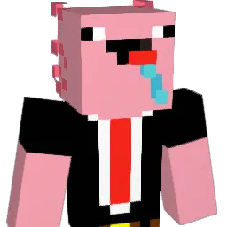 iiNSaNeS
