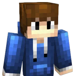 iiNsAnE_ Minecraft avatar bust