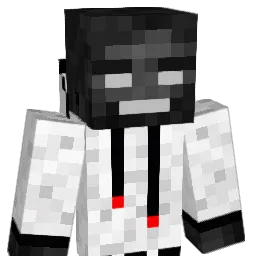 iiReflex123 Minecraft avatar bust