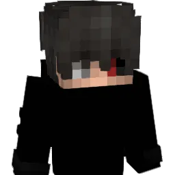 iiiNJM1 Minecraft avatar bust