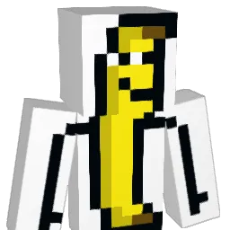 ijohera05 Minecraft avatar bust