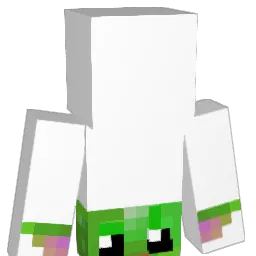 iliketapwaterok Minecraft avatar bust