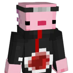 illeraa's Minecraft skin
