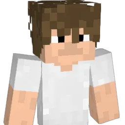 illllusion Minecraft avatar bust