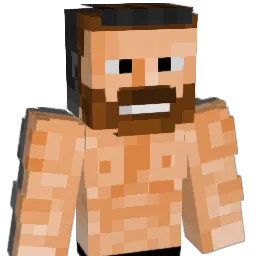 illusison Minecraft avatar bust