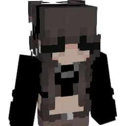 ilovedilfs2137 Minecraft avatar bust